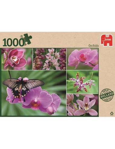 Jumbo- Orchids pcs Orquídeas 1000 PZS