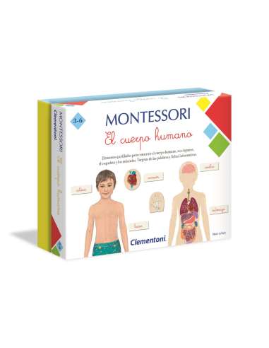 Montessori : El cuerpo humano