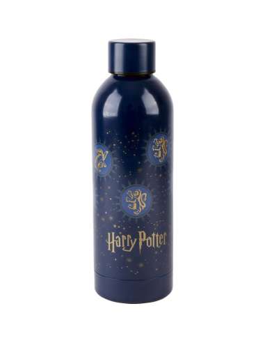 Botella acero inoxidable Harry Potter