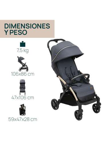 SILLA PASEO GOODY XPLUS COLOR DARK SHADOW  CHICCO